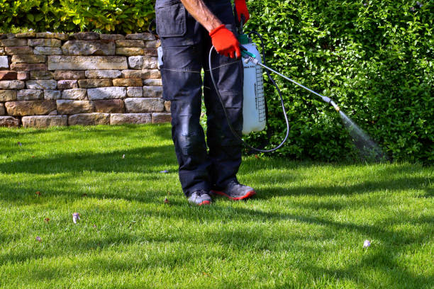 Reliable Hughes Springs, TX Pest Control Solutions